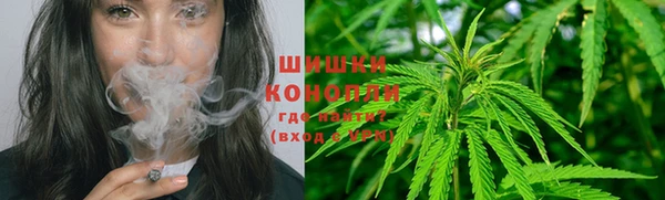трава Алзамай