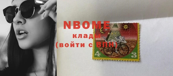 хмурый Алексин