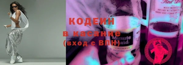 дживик Абаза