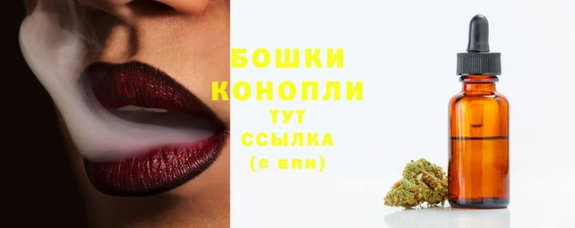 дживик Абаза